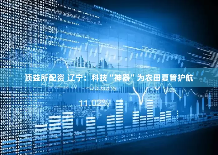 顶益所配资 辽宁：科技“神器”为农田夏管护航