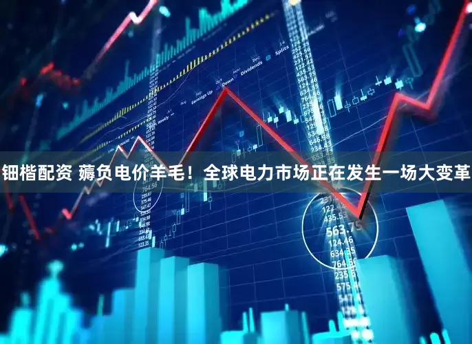 钿楷配资 薅负电价羊毛！全球电力市场正在发生一场大变革